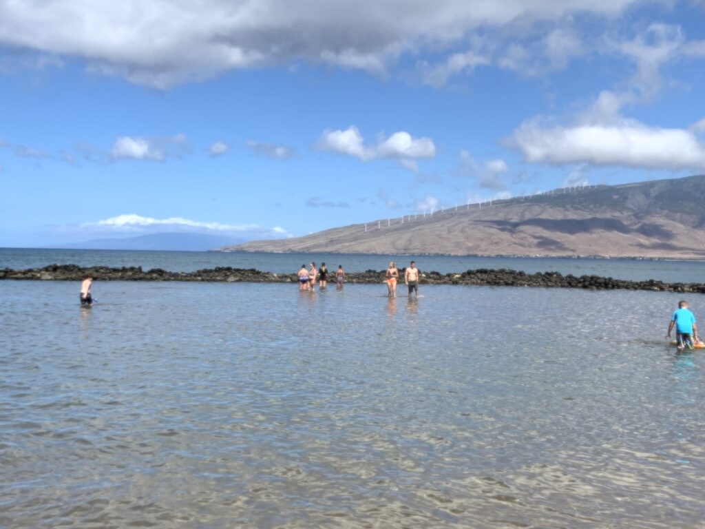 standing in Kalepolepo fishpond during low tide
